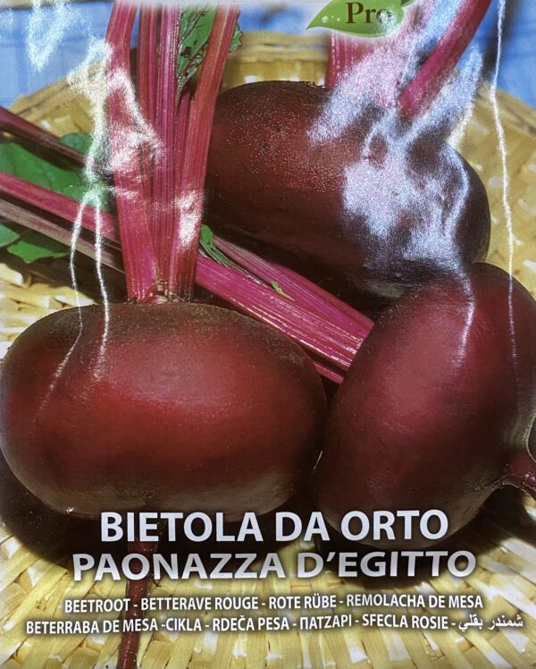 Semi Di Bietola Da Orto Paonazza D' Egitto