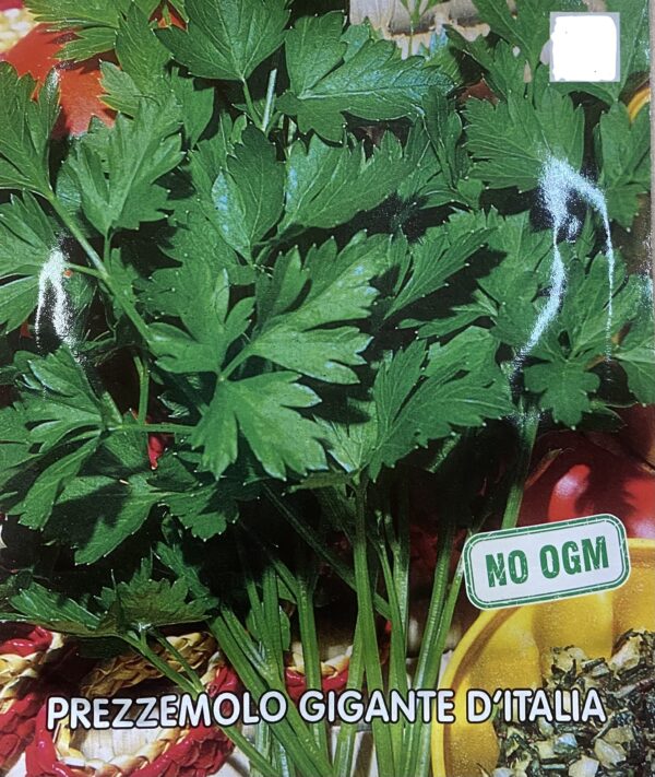 Semi Di Prezzemolo Gigante D' Italia