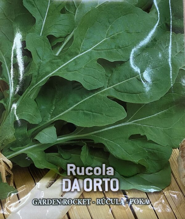 Semi Di Rucola Da Orto
