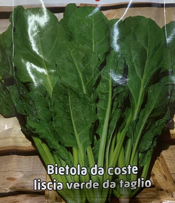 Semi Di Bietola Da Coste Liscia Verde Da Taglio