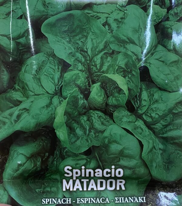 Semi Di Spinacio Matador