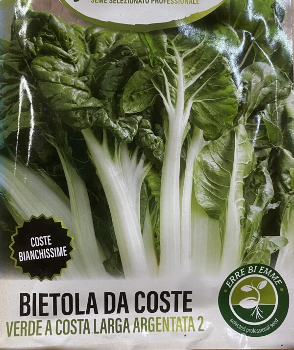 Semi Di Bietola Da Coste Verde A Costa Larga Argentata