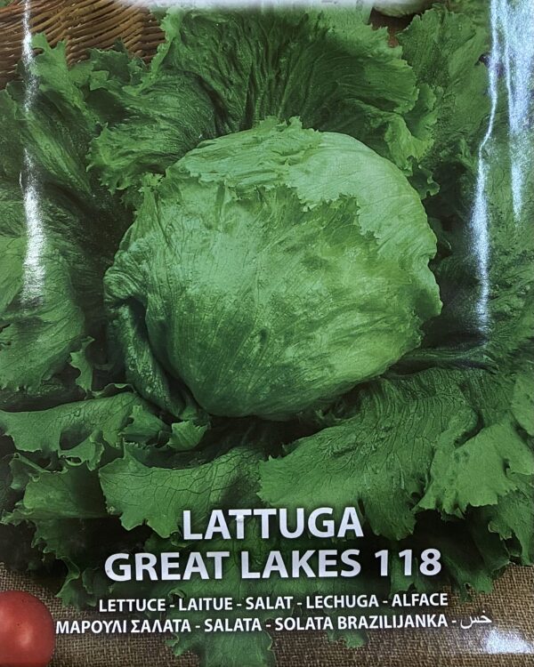 Semi Di Lattuga Great Lakes 118