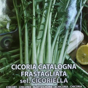 Semi Di Cicoria Catalogna Frastagliata Cicoriella