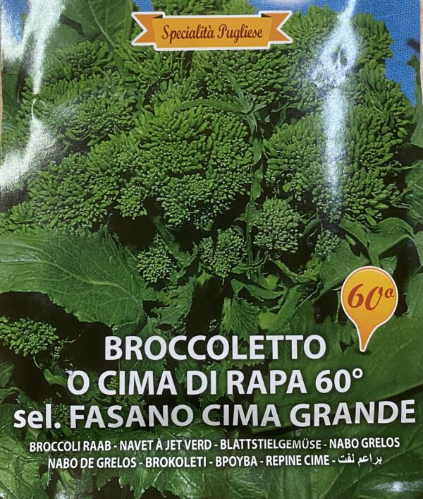 Semi  Di Cima Di Rapa 60° Fasano Cima Grande