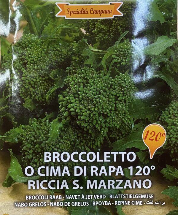 Semi  Di Cima Di Rapa 120° Riccia S. Marzano