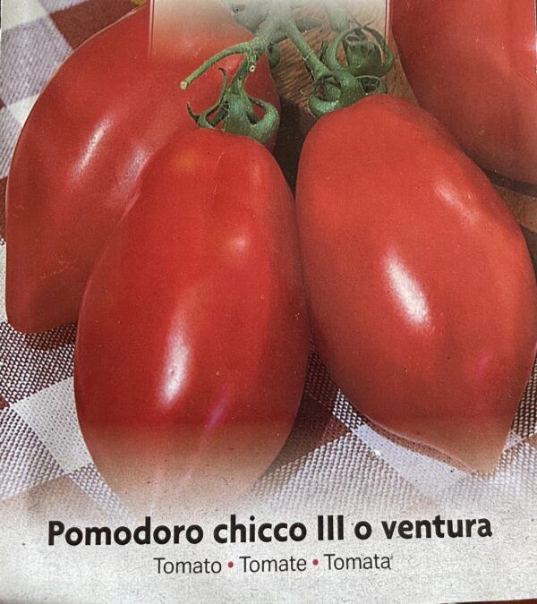 Semi Di Pomodoro Chicco III o Ventura