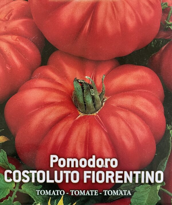 Semi Di Pomodoro Costoluto Fiorentino