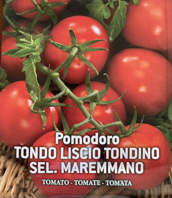 Semi Di Pomodoro Tondo Liscio Tondino Maremmano