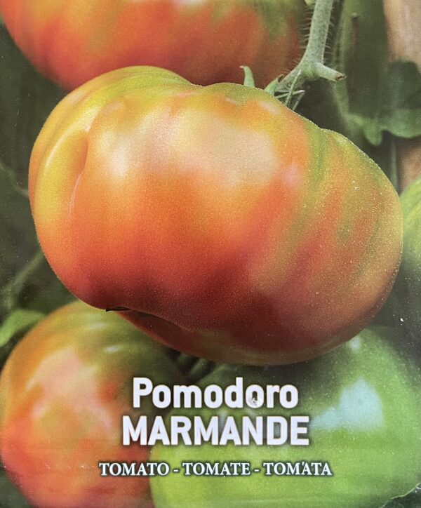 Semi Di Pomodoro Marmande