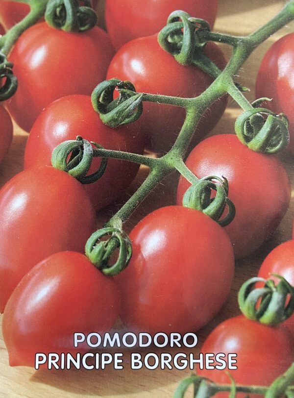 Semi Di Pomodoro Principe Borghese