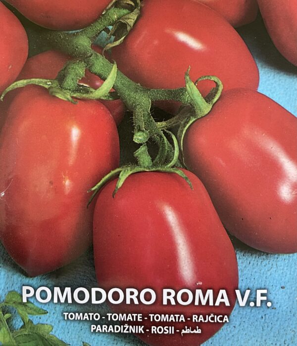 Semi Di Pomodoro Roma V.F.