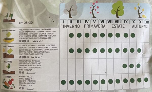 Semi Di Bietola Da Coste Verde A Costa Larga Argentata - immagine 2