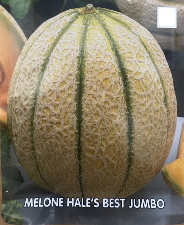 Semi Di Melone Hale's Best Jumbo