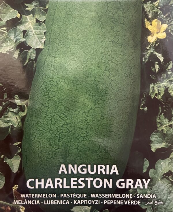 Semi Di Anguria Charleston Gray