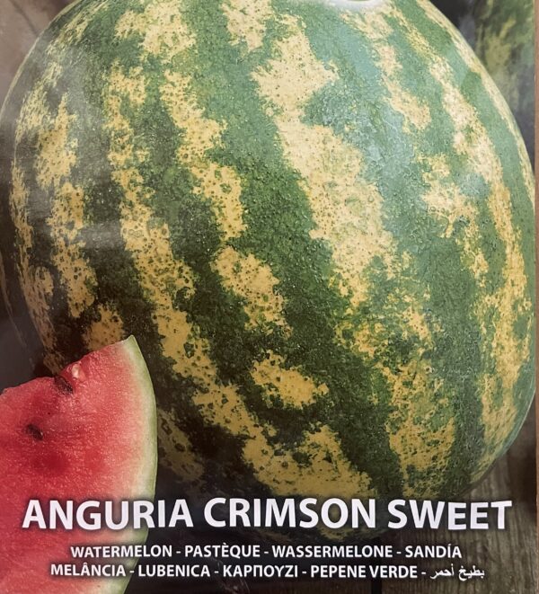 Semi Di Anguria Crimson Sweet