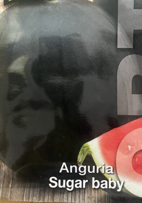 Semi Di Anguria Sugar Baby