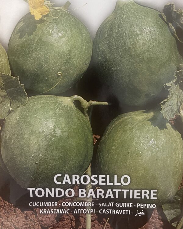 Semi Di Carosello Tondo Barattiere