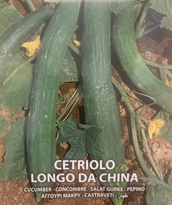 Semi Di Cetriolo Longo Da China