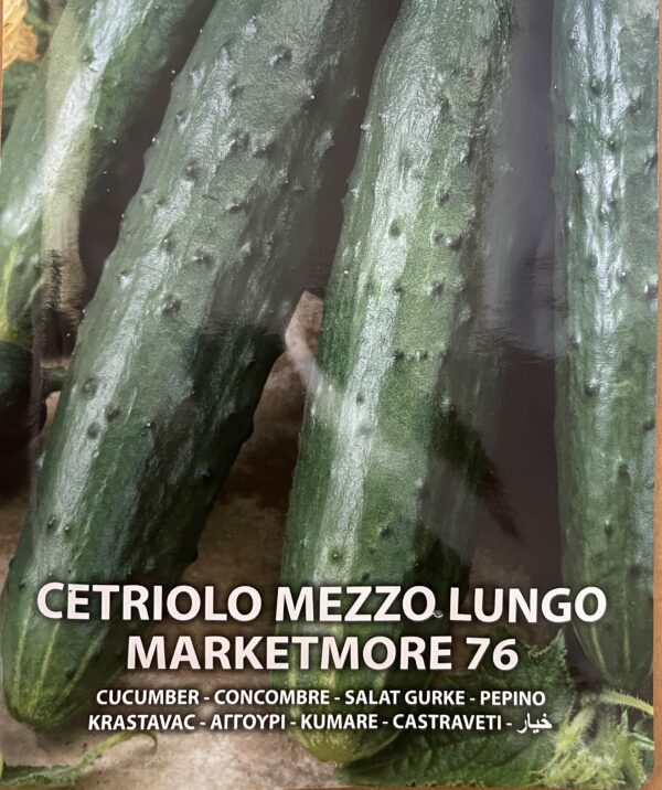 Semi Di Cetriolo Mezzo Lungo Marketmore 76