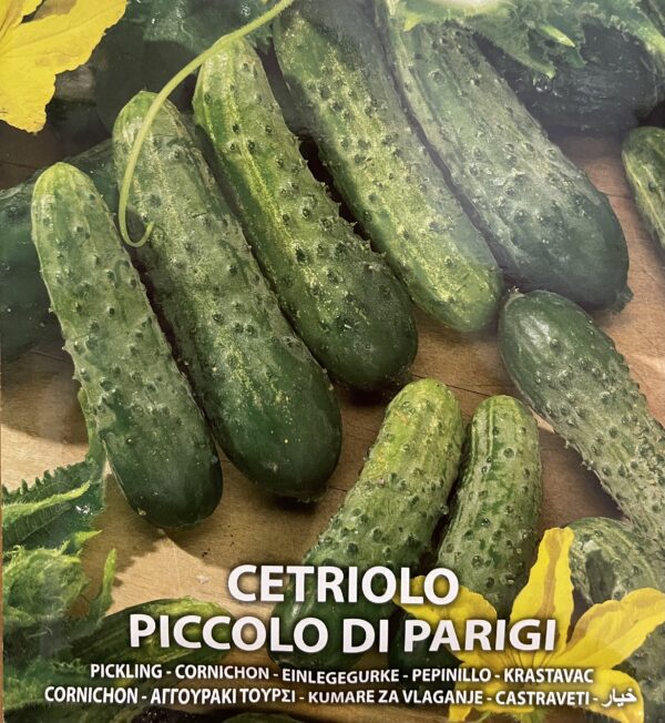 Semi Di Cetriolo Piccolo di Parigi
