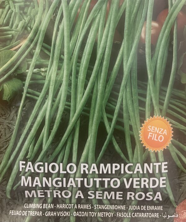 Semi Di Fagiolo Rampicante Mangiatutto Verde Metro A Seme Rosa