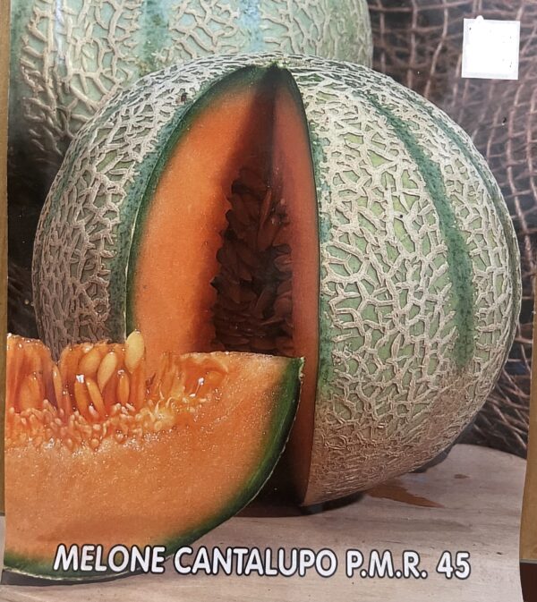 Semi Di Melone Cantalupo P.M.R. 45
