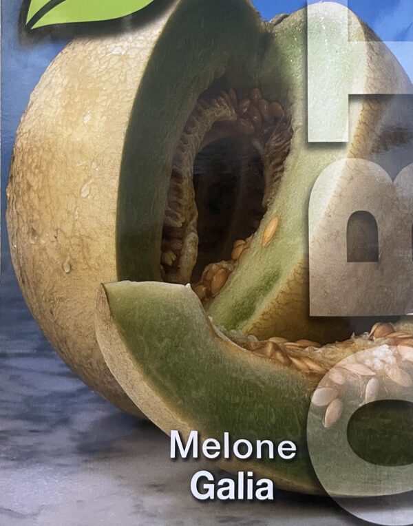 Semi Di Melone Galia