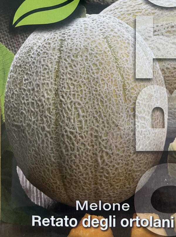 Semi Di Melone Retato Degli Ortolani