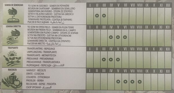 Semi Di Cetriolo Longo Da China - immagine 2