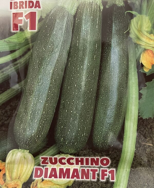 Semi Di Zucchino Diamant F1