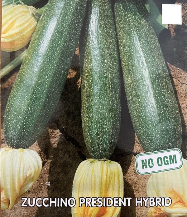 Semi Di Zucchino President Hybrid