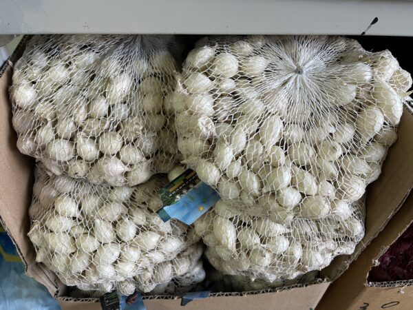 Bulbi Da Seme Di Cipolla Bianca 1kg