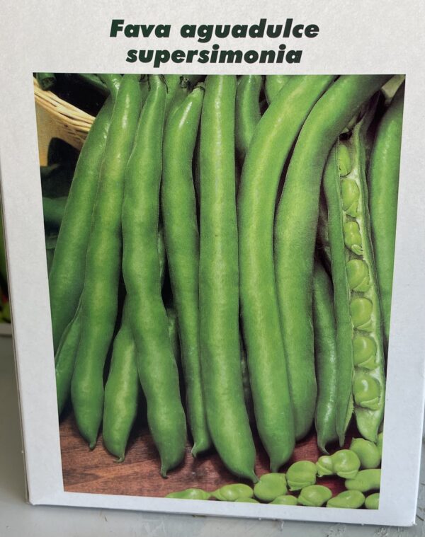Semi Di Fava Aguadulce Supersimonia 1kg