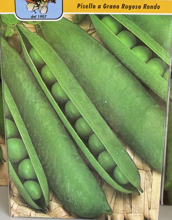 Semi Di Pisello A Grano Rugoso Rondo 500gr