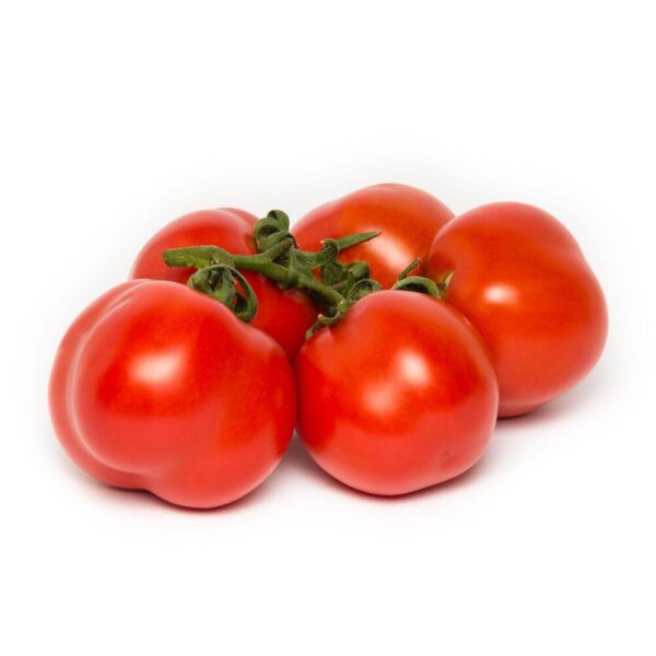piante di pomodoro siccagno (necessità di pochissima acqua)